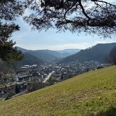 Schwarzwald Blockhaus - Sauna - Kamin - Mit Bettwaesche Und Handtuecher Schenkenzell Exterior foto