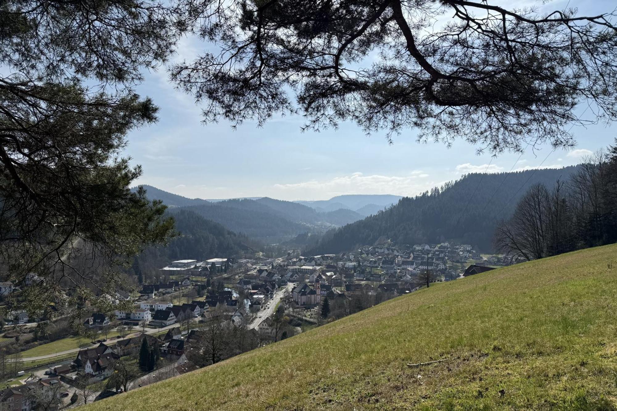 Schwarzwald Blockhaus - Sauna - Kamin - Mit Bettwaesche Und Handtuecher Schenkenzell Exterior foto