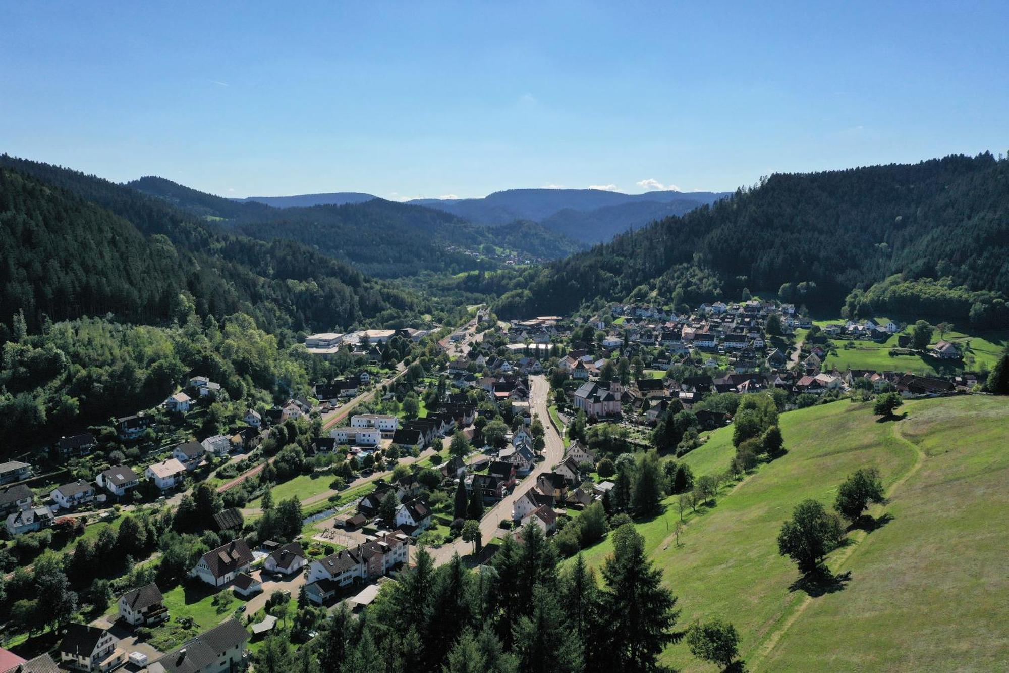 Schwarzwald Blockhaus - Sauna - Kamin - Mit Bettwaesche Und Handtuecher Schenkenzell Exterior foto