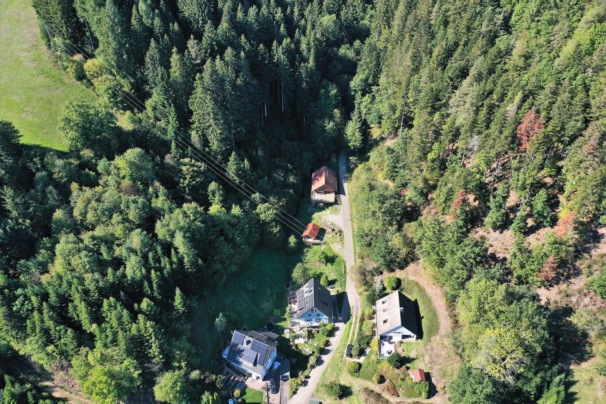 Schwarzwald Blockhaus - Sauna - Kamin - Mit Bettwaesche Und Handtuecher Schenkenzell Exterior foto